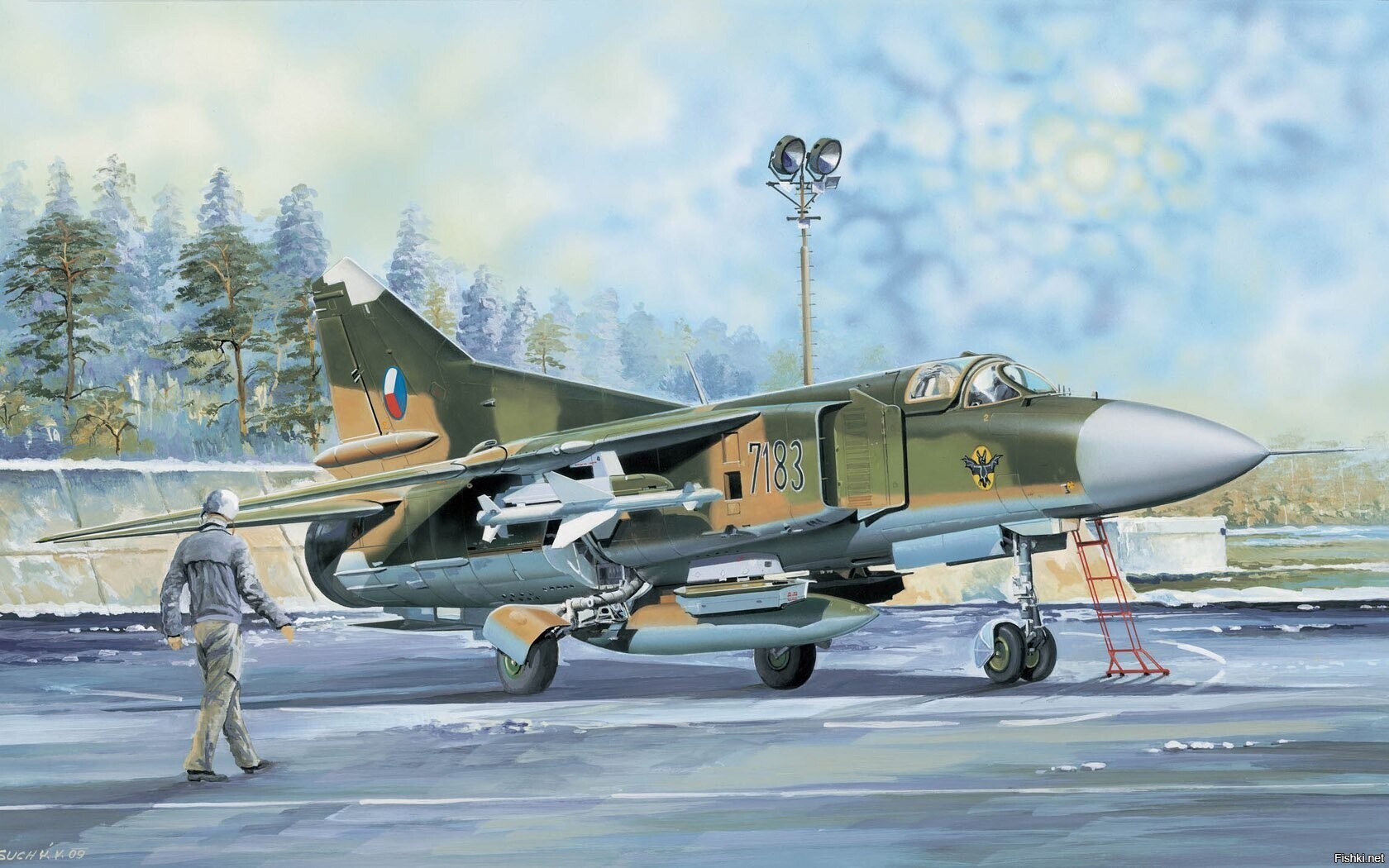 Солянка