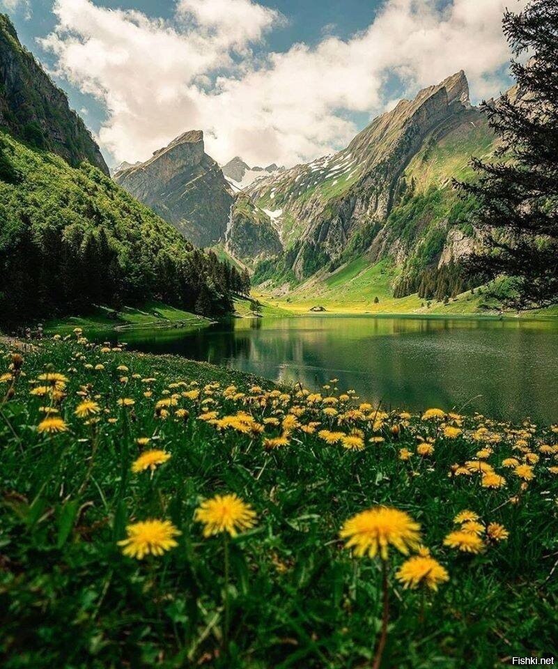 Швейцария