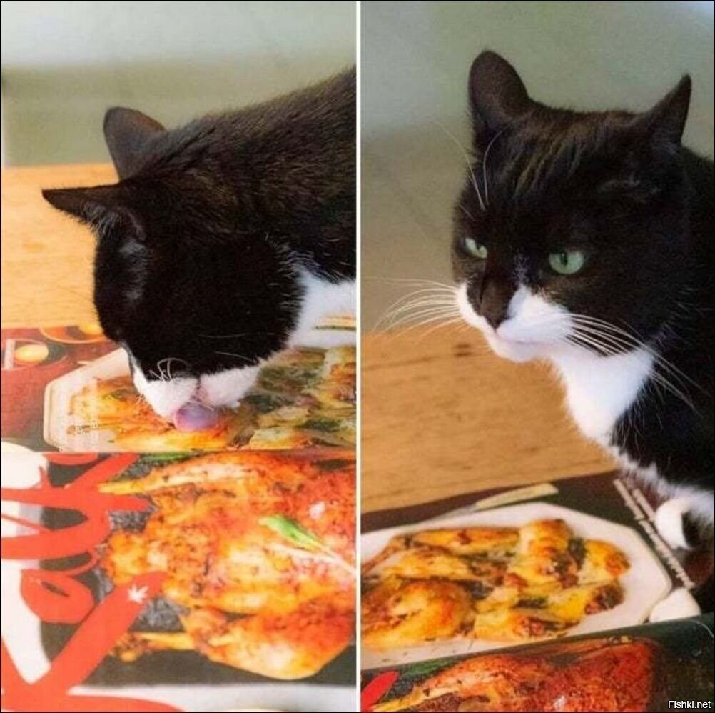 Солянка