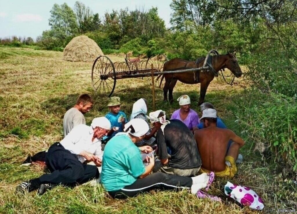 обед на сенокосе в деревне