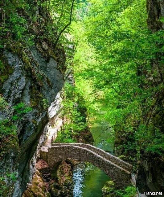 Солянка