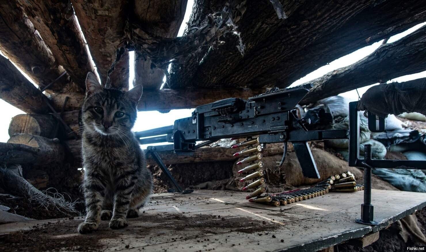 Солянка