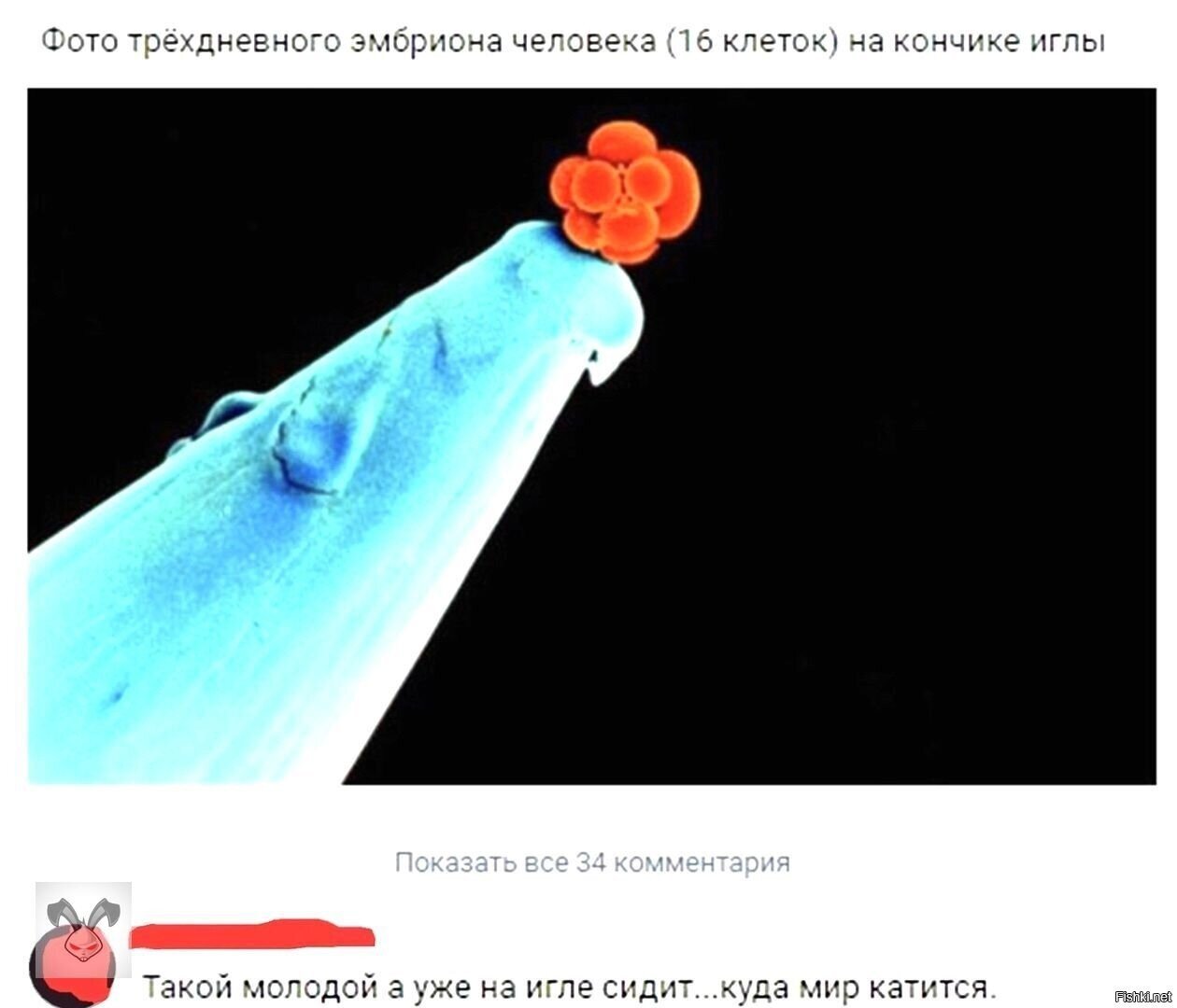 Солянка