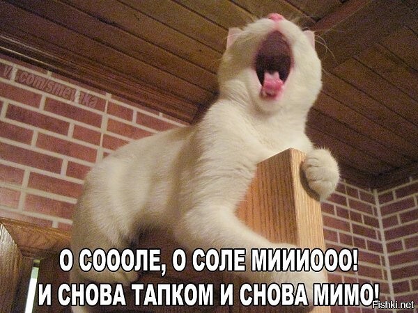 Солянка