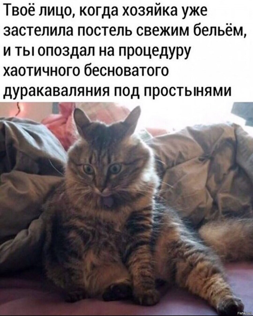 На негра из мемов похож