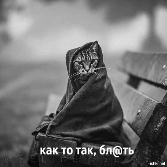 Всем хорошего