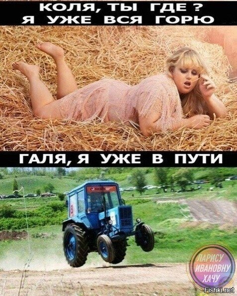 Солянка