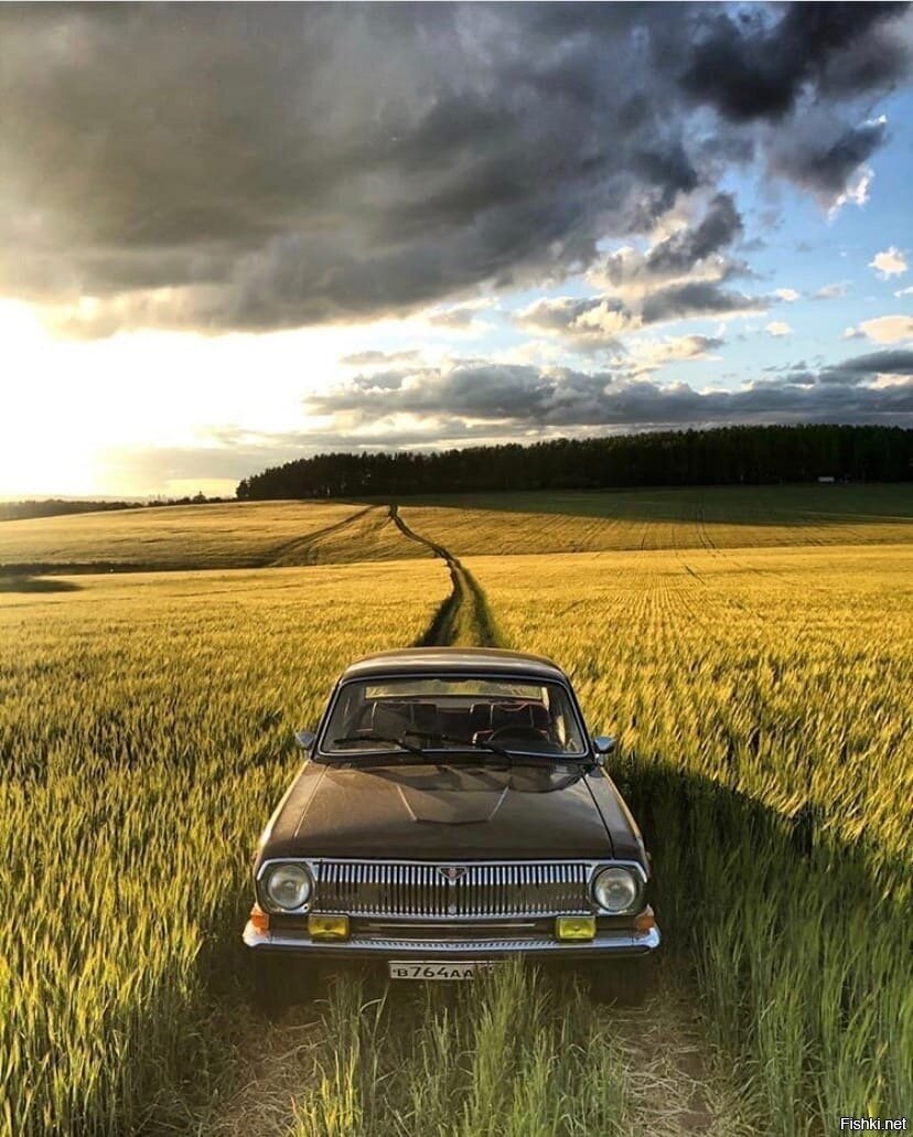 Солянка