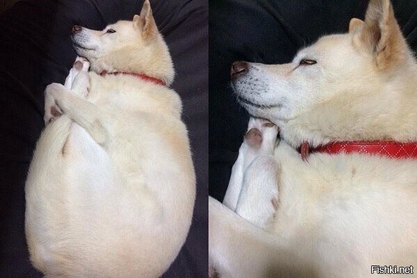 Удобно