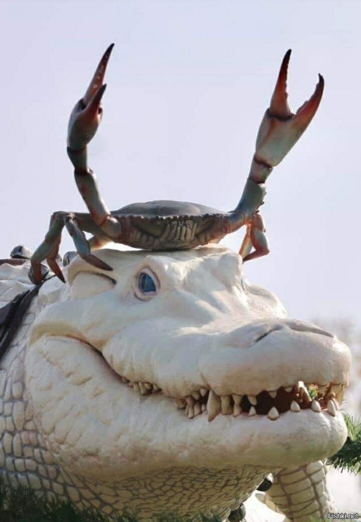 ю-ху