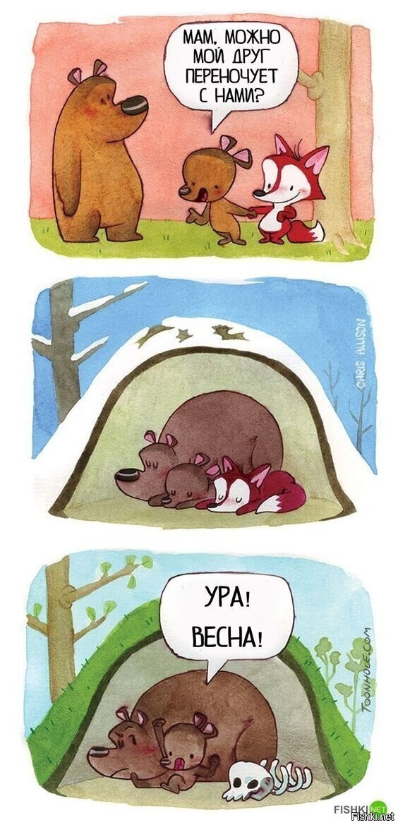 Солянка