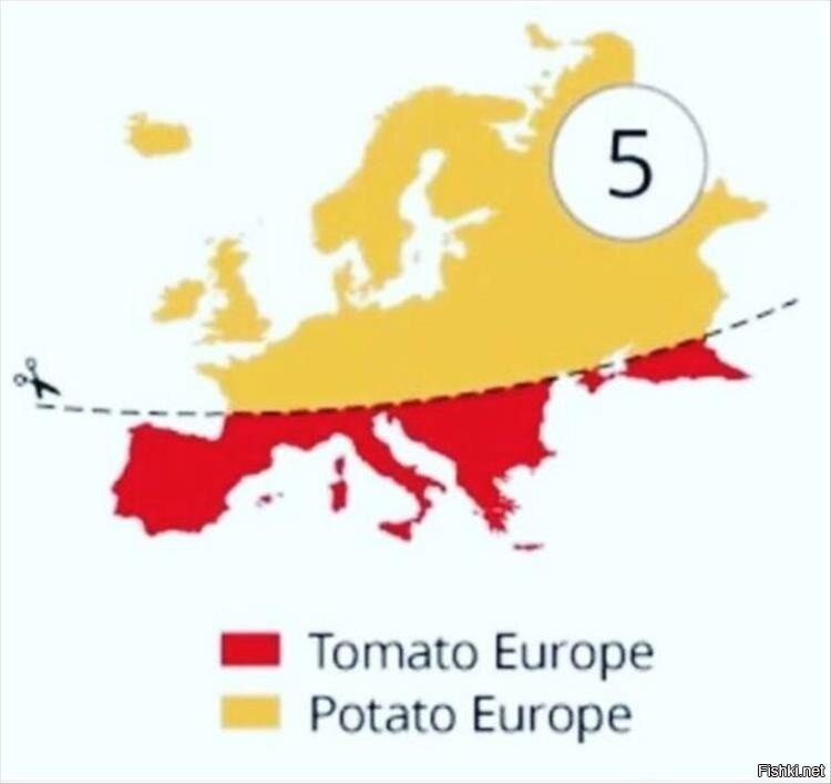 Солянка