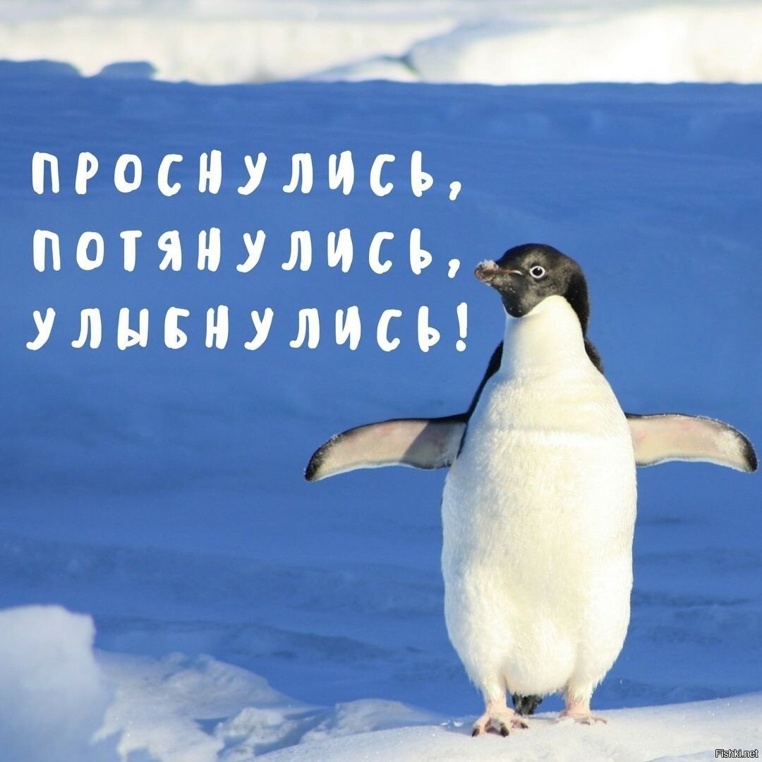 Доброе утро всем :)