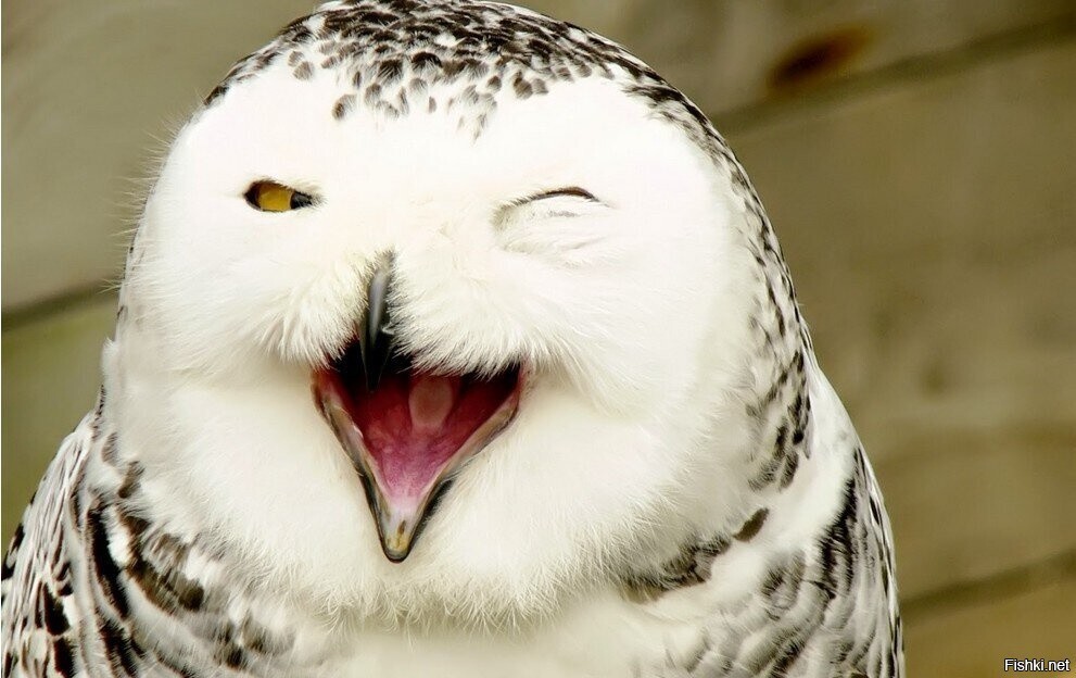 С добрым утром