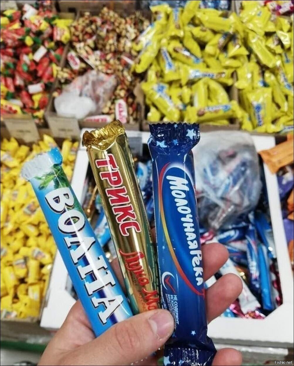Солянка