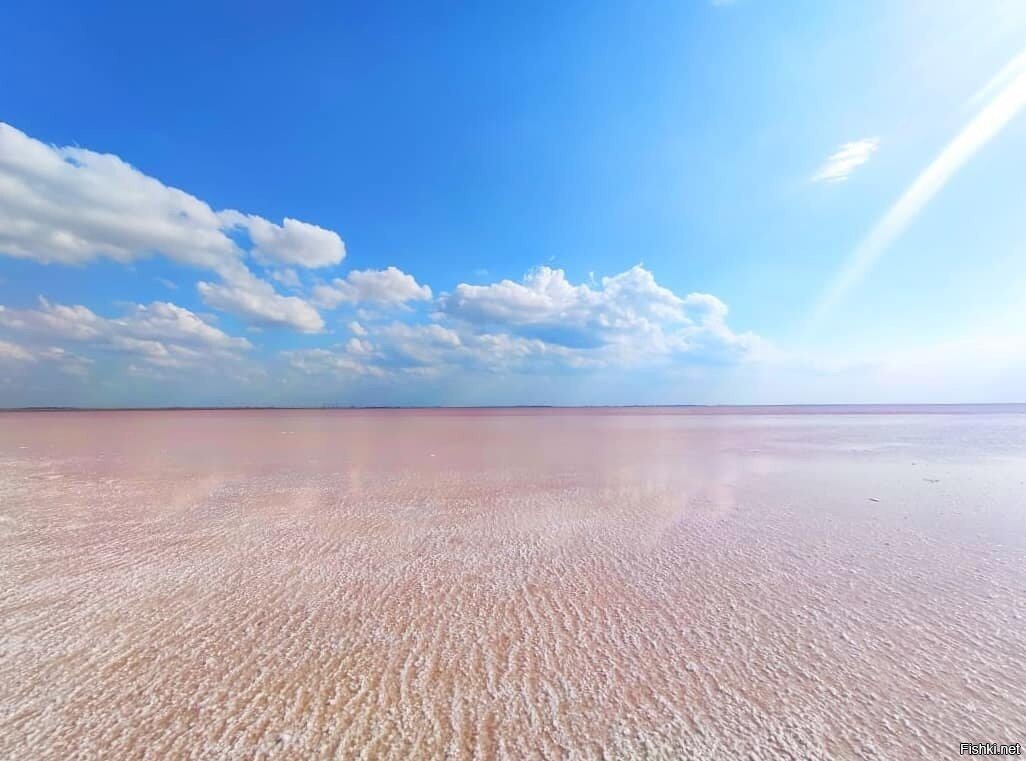 Озеро Сасык-Сиваш, Евпатория