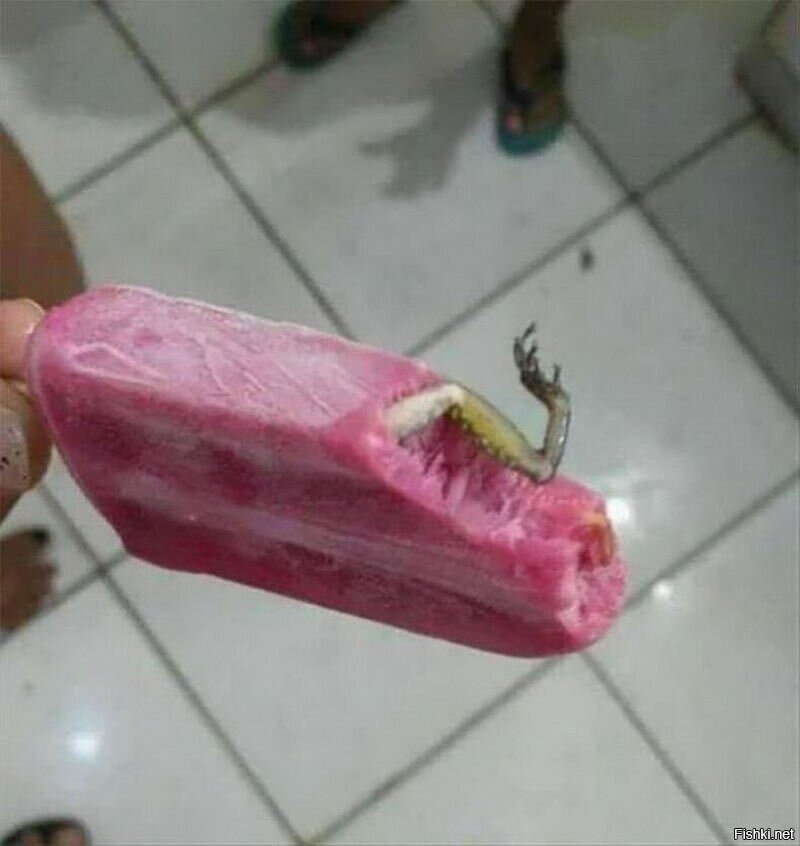Солянка