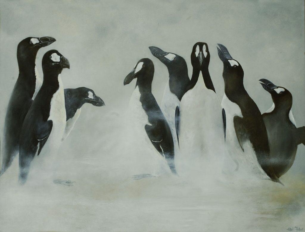 Бескрылая гагарка: «Пингвины» жили на Северном полюсе. Но потом пришёл человек