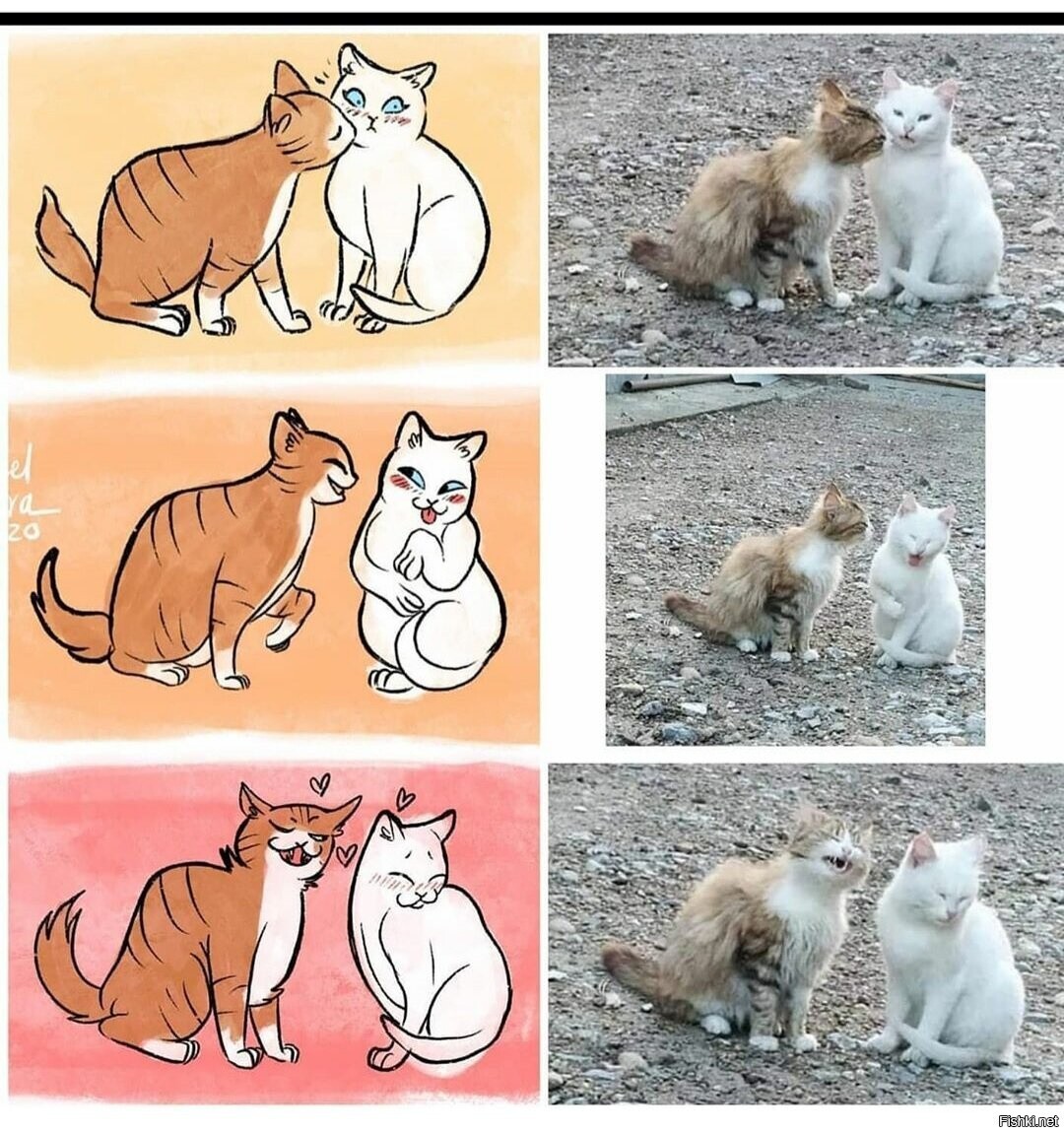 Солянка