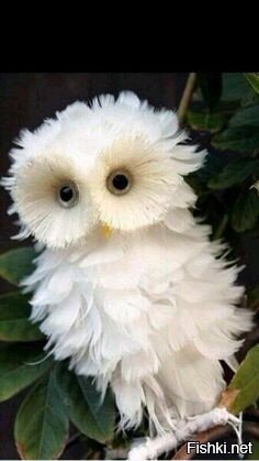 Доброе утро други :)