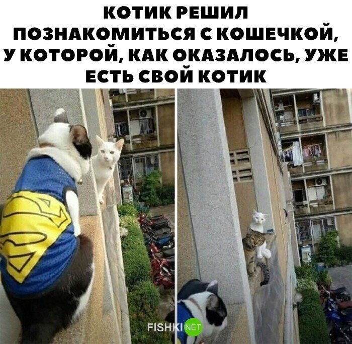 Прикольные и смешные картинки