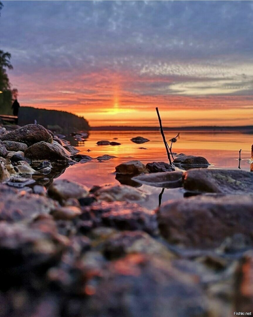 Озеро Сенеж, Солнечногорск, МО