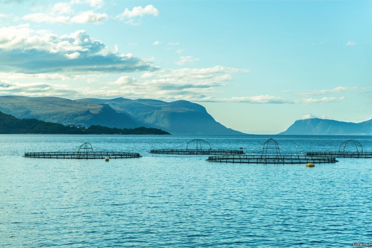 Доброе утро