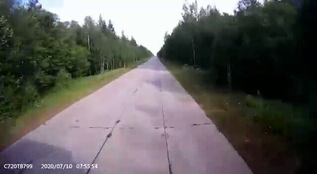 Лежала и лежала себе