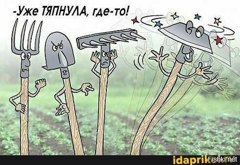 Солянка