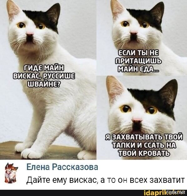 Солянка
