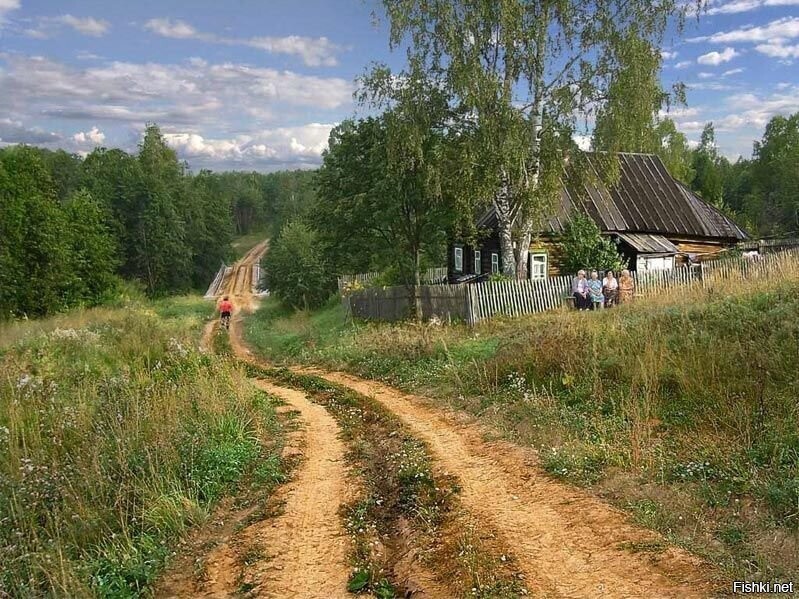 Солянка