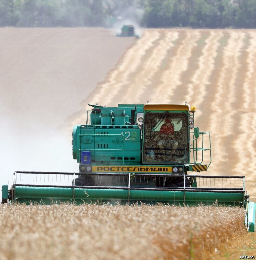 Уборочная 2020