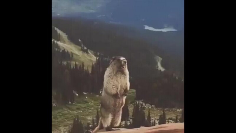 Это слушать