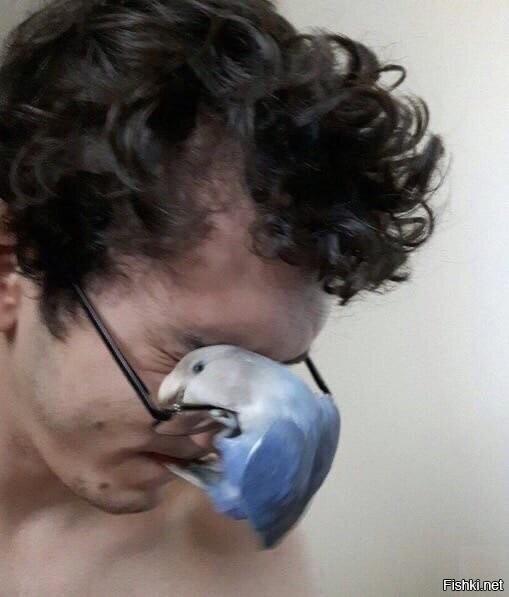 - Кто навязчивый