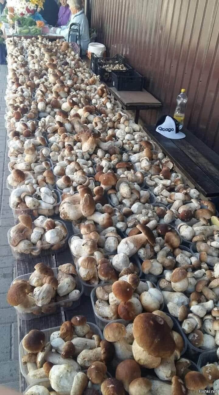 Солянка
