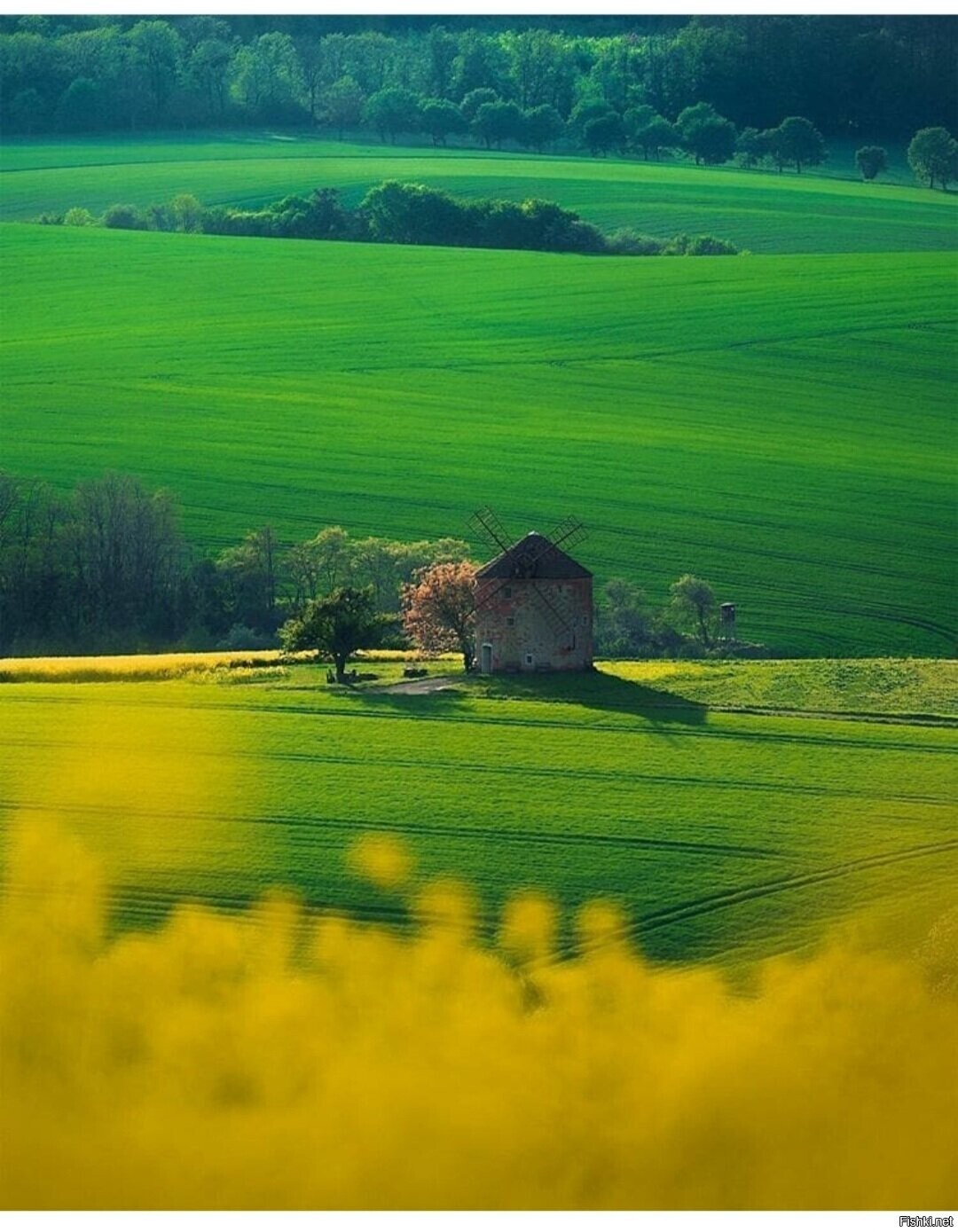 Солянка