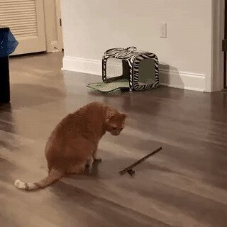 - Нуштош, буду играть сам