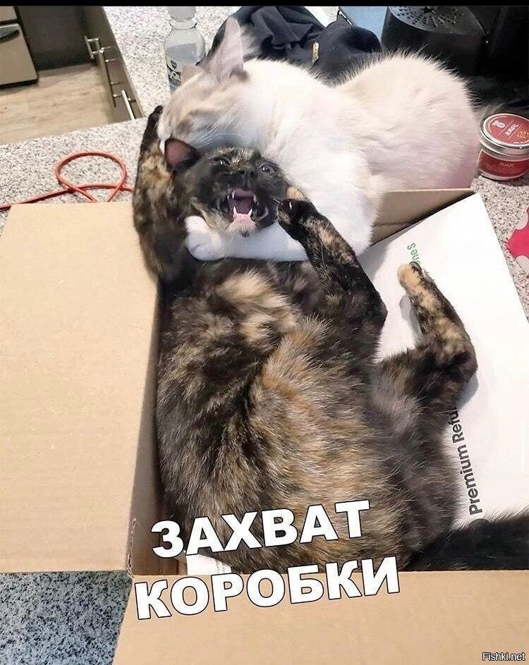 Солянка