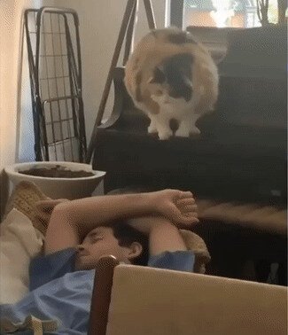 - Все, хозяин, ты проснулся