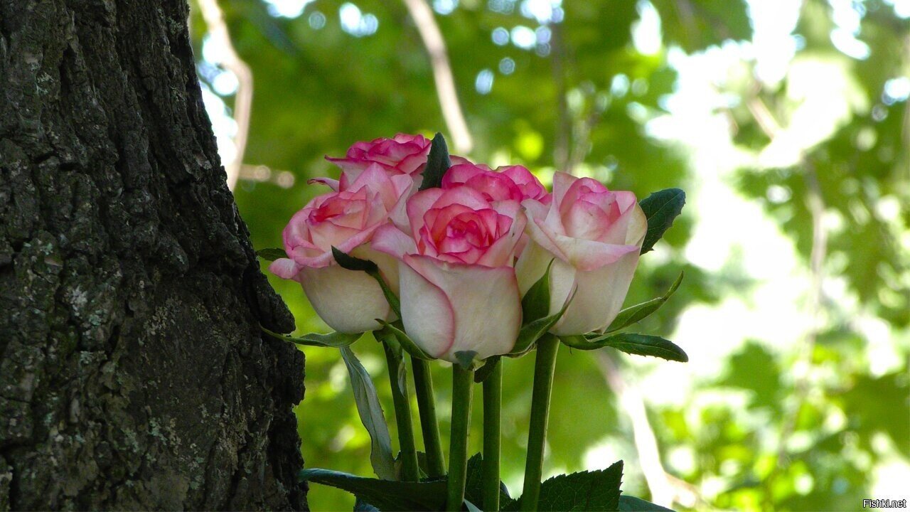 Хорошего всем дня