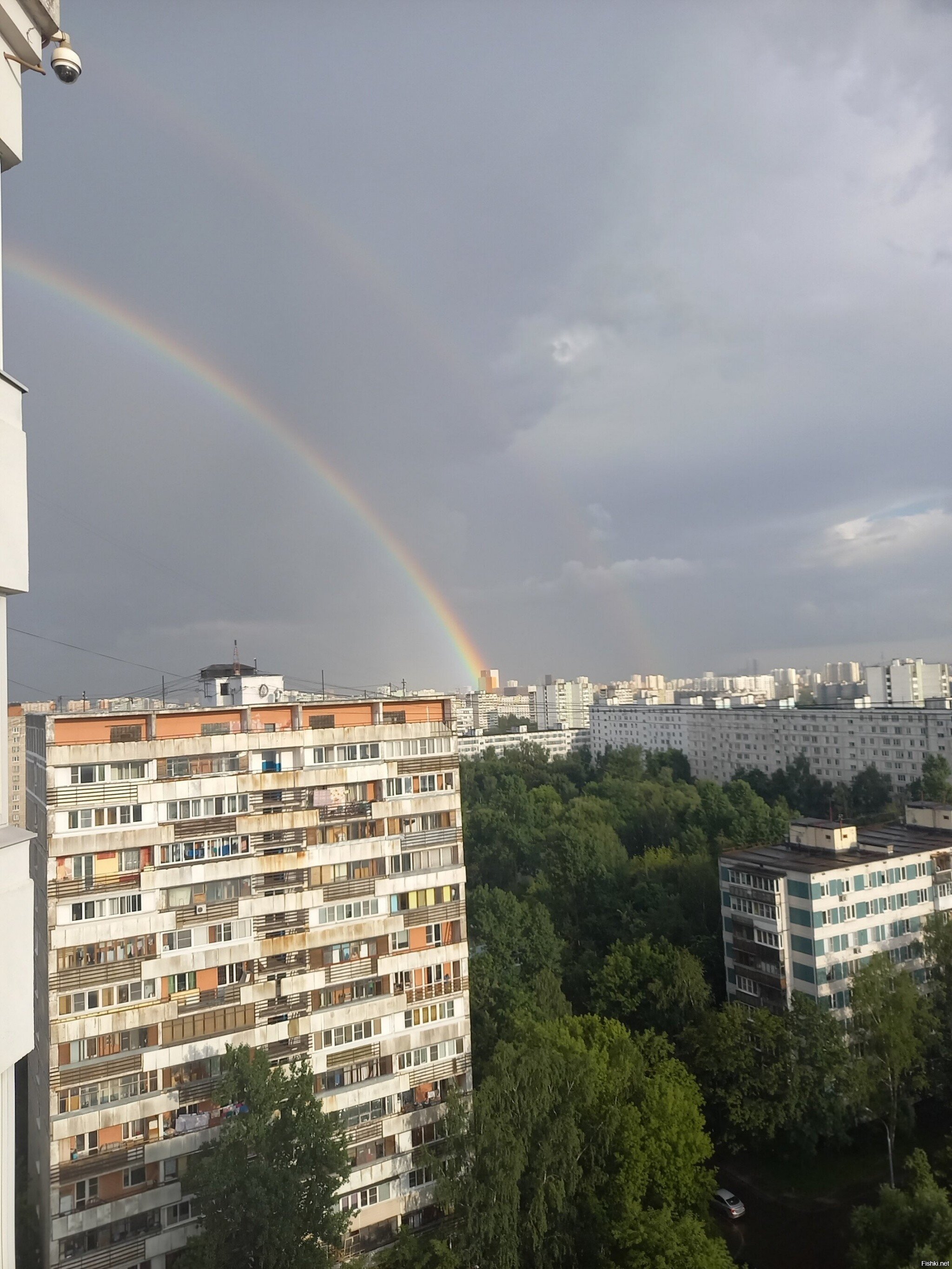 Просто радуга