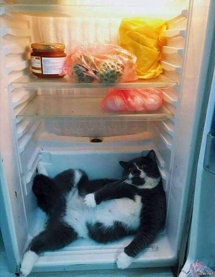 Солянка