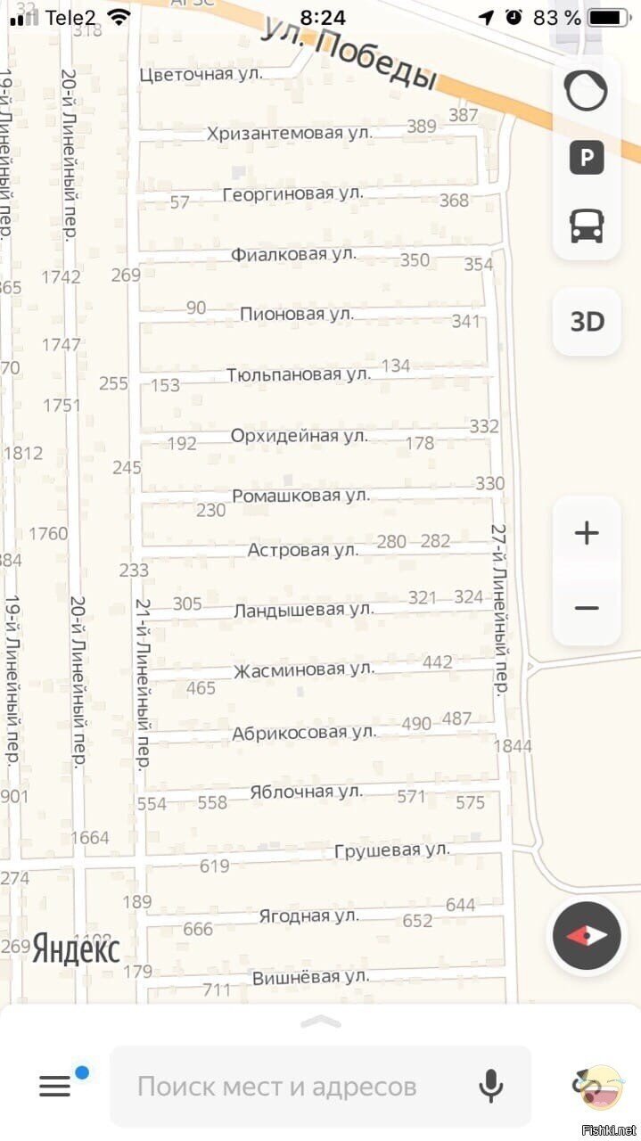 Солянка