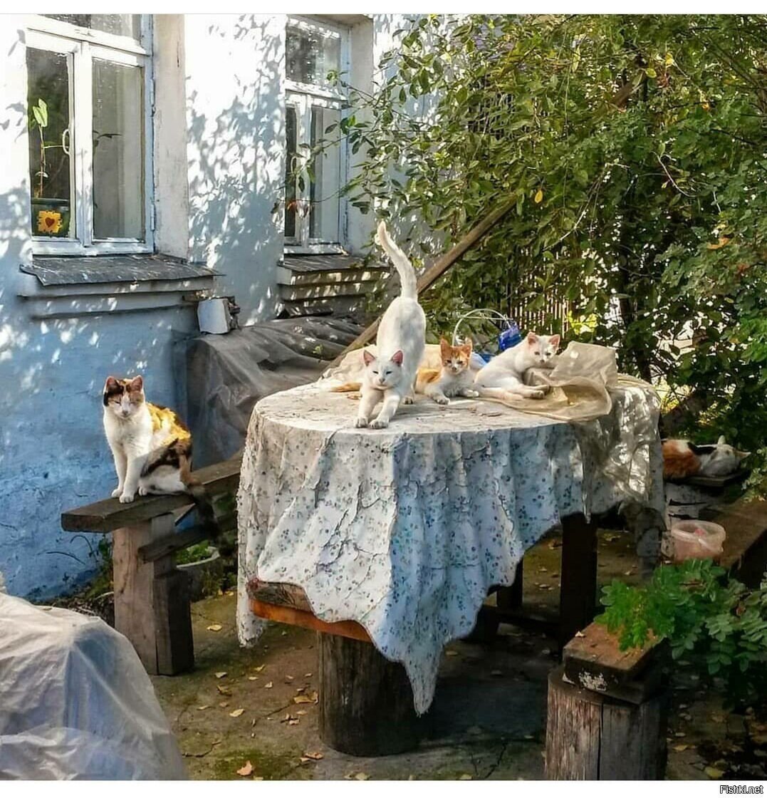 А на даче - все иначе 