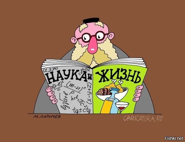 Солянка