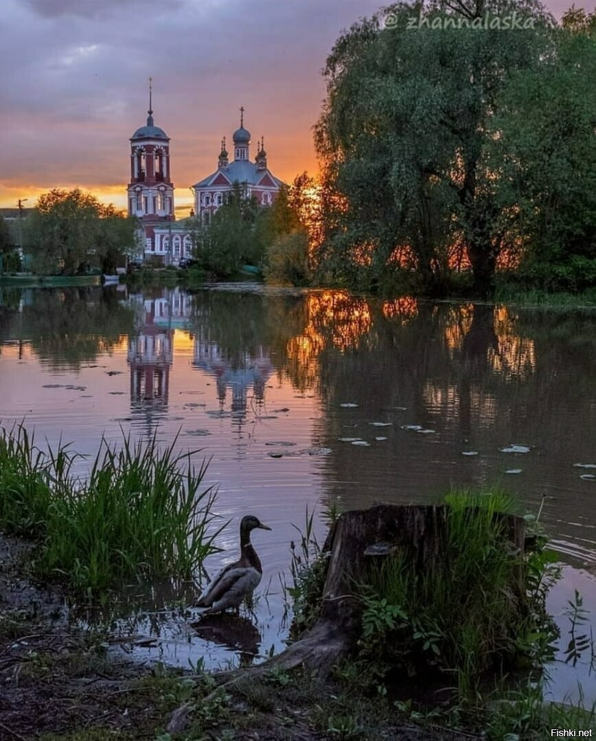 Солянка