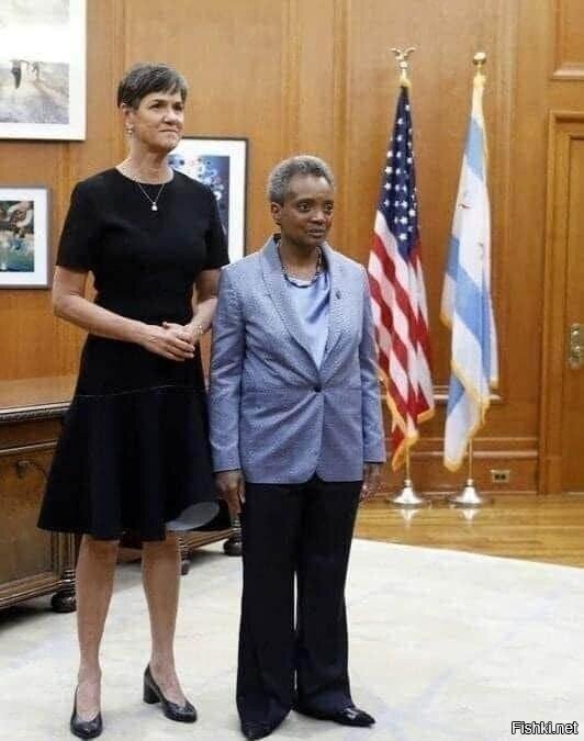 Я вообще думал, что это шутка- пишет Дональд Трамп 