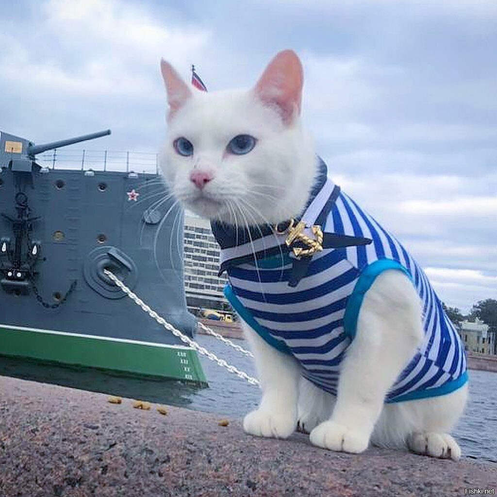 Доброе утро ) С праздником 