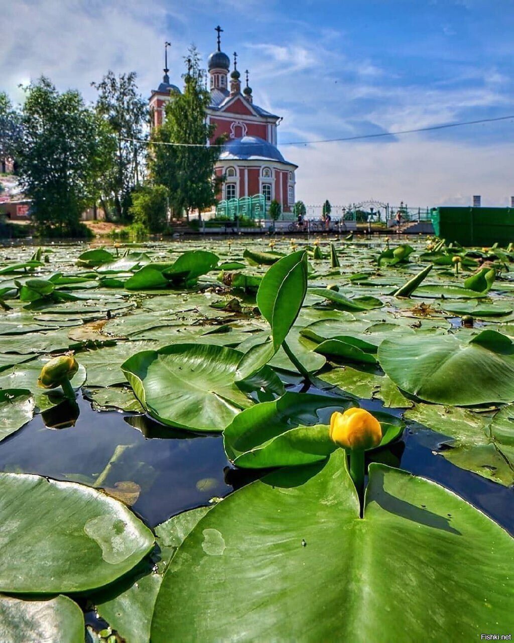 Солянка
