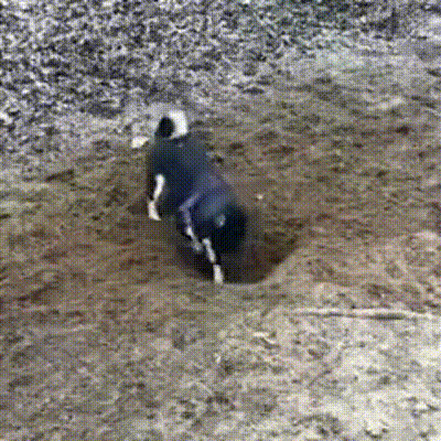 Спина зачесалась